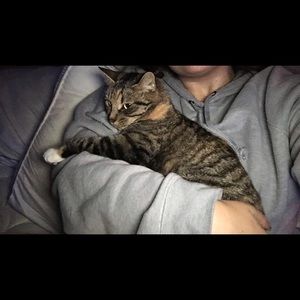 Meet your Posher, Madison